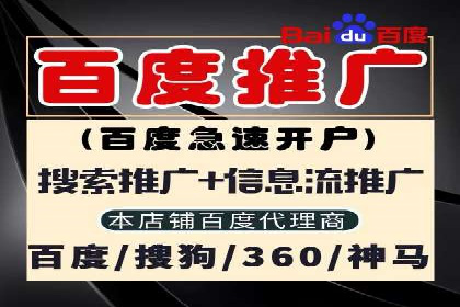 搜索引擎营销（SEM）竞价策略案例